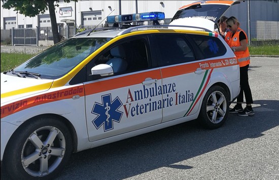 Ambulanze veterinarie