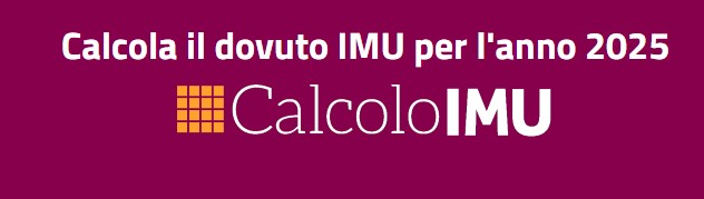 Calcolo on-line IMU