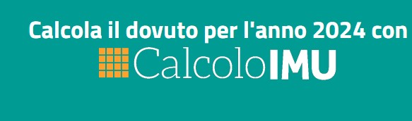 Calcolo on-line IMU