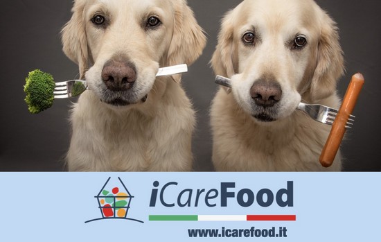 icareFood PET