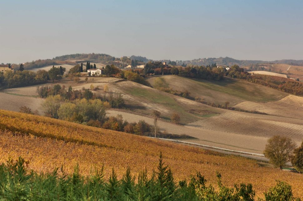 Presentata la strada del vino GRANMONFERRATO: la più ampia d'Italia 