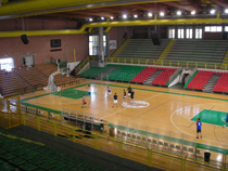 immagine allenamento al palasport