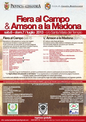 Amson 2013