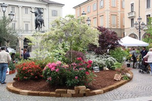 piazza mazzini allestita con fiori e piante in occasione di riso e rose