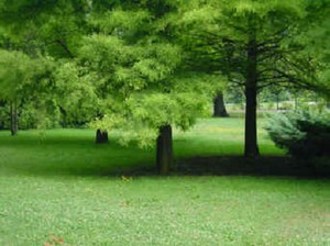 Giardini pubblici di Casale Monferrato 