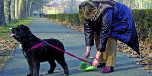 cane paletta