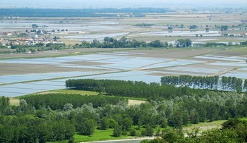 particolare della locandina