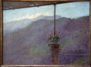 Morbelli vasi di geranio