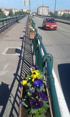 foto fioriere sul ponte