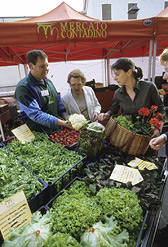 immagine farmer market