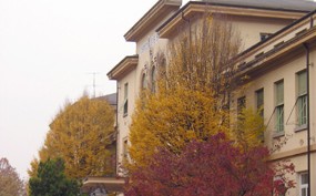 foto ospedale santo spirito