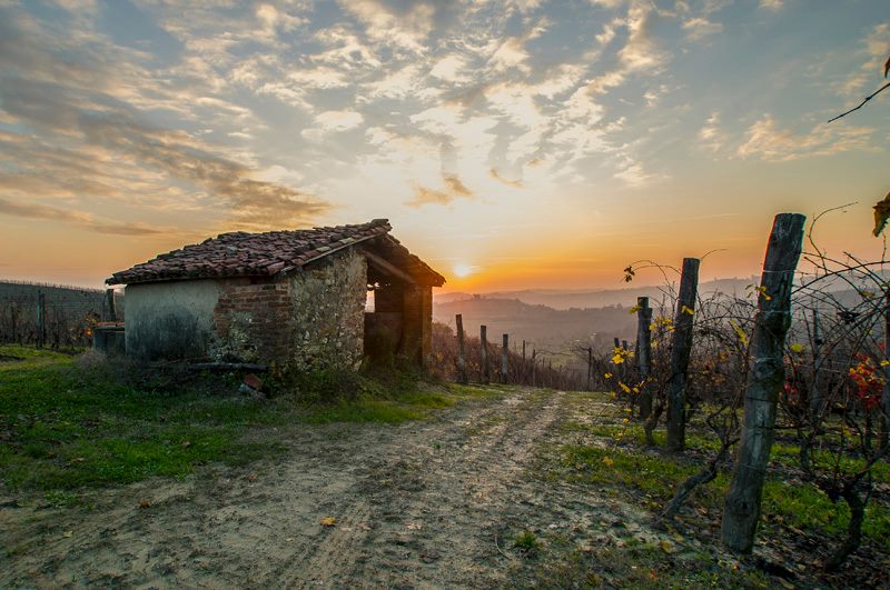 una delle foto in mostra