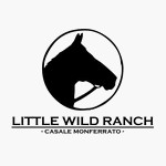 logo della little wild ranch