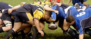 Rugby