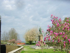 scorcio ei giardini della difesa