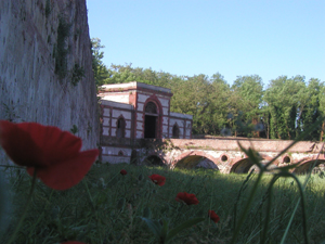 foto cittadella casale