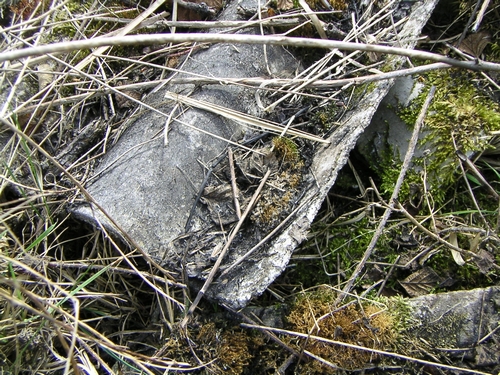 foto di lastre di amianto